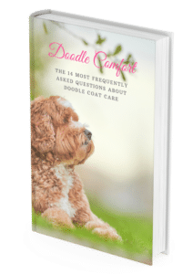 book on Labradoodle grooming